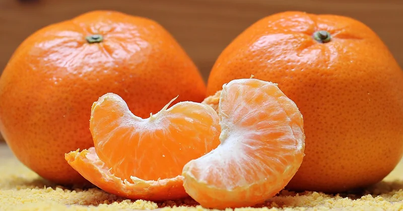 La segmentation, l'angle mort qui change tout