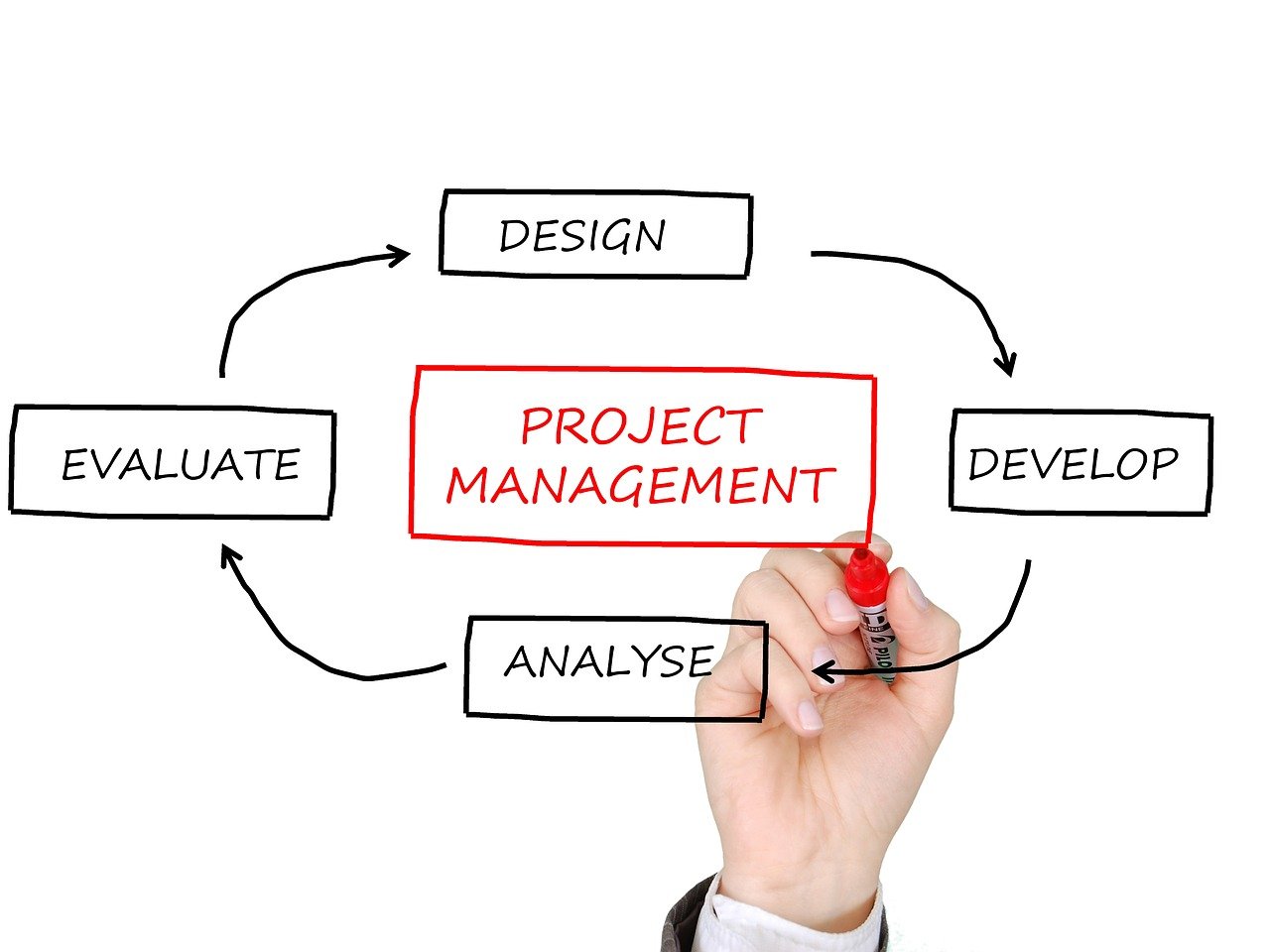 Comment optimiser la gestion de trésorerie en PME ?