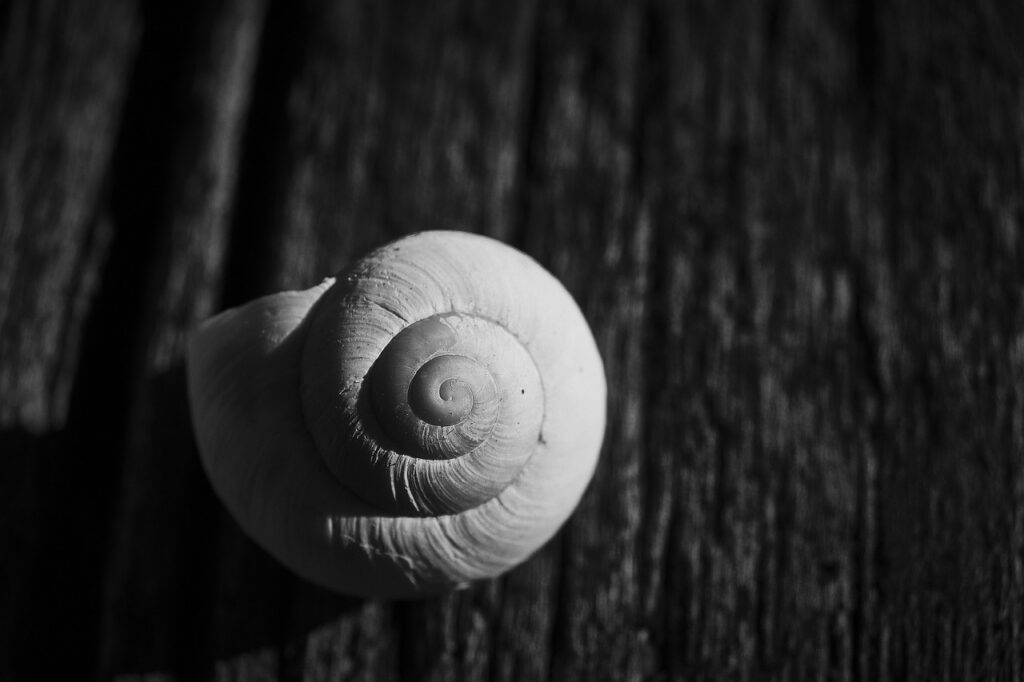 découvrez ce qu'est la comfort zone, pourquoi il est important d'en sortir et comment dépasser ses limites pour s'épanouir pleinement dans sa vie personnelle et professionnelle.