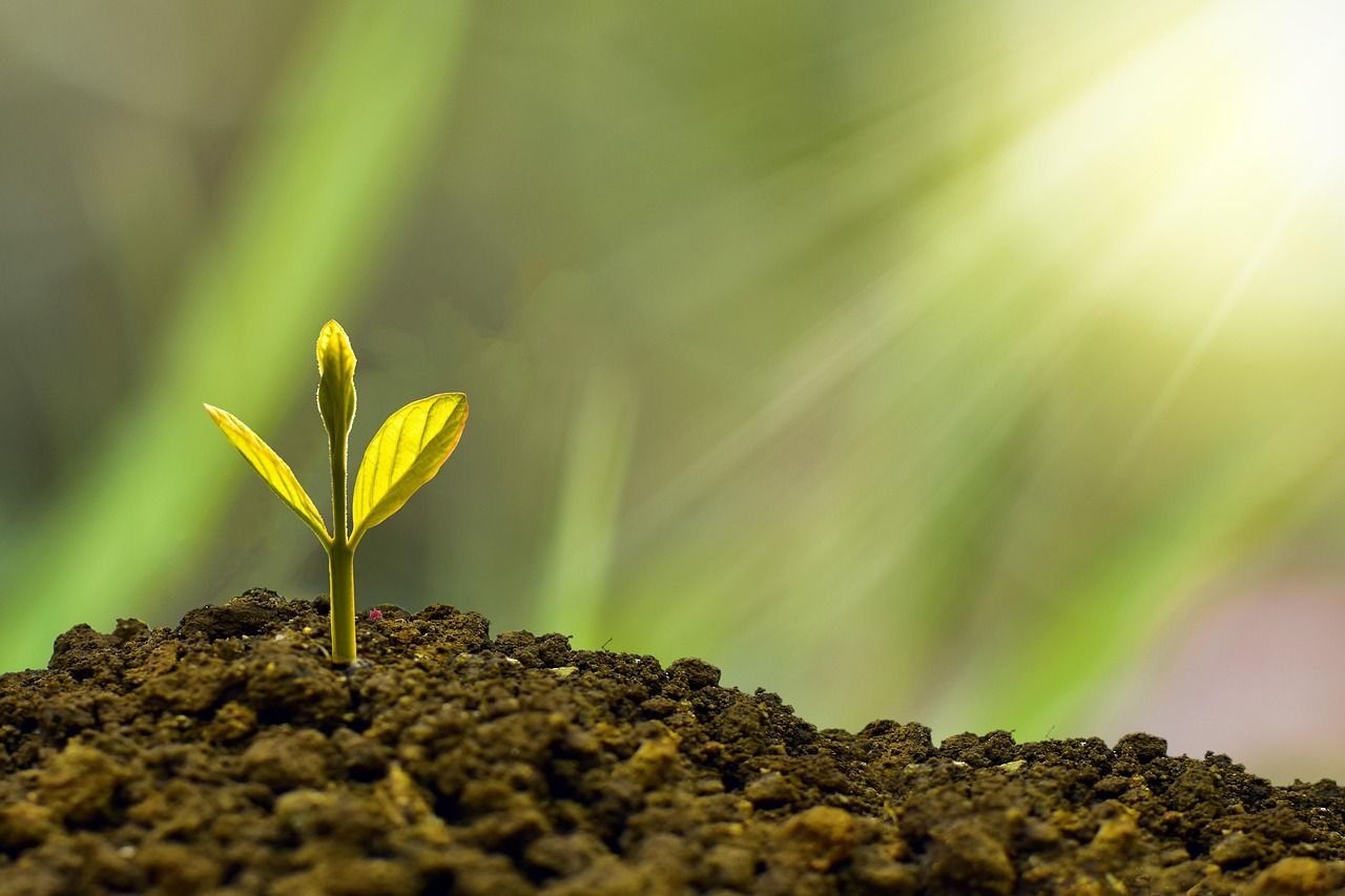 découvrez les différentes solutions de financement d'investissement pour soutenir la croissance de votre entreprise et optimiser vos projets financiers.